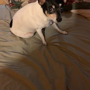 Meet your Posher, Jason